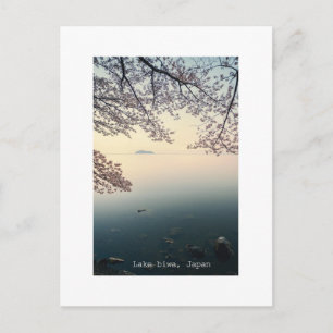Lake Biwa, Cherry blossoms, Japan Postcard