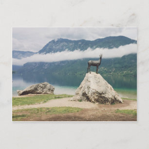 Lake Bohinj, Slovenia Zlatorog Photo Postcard