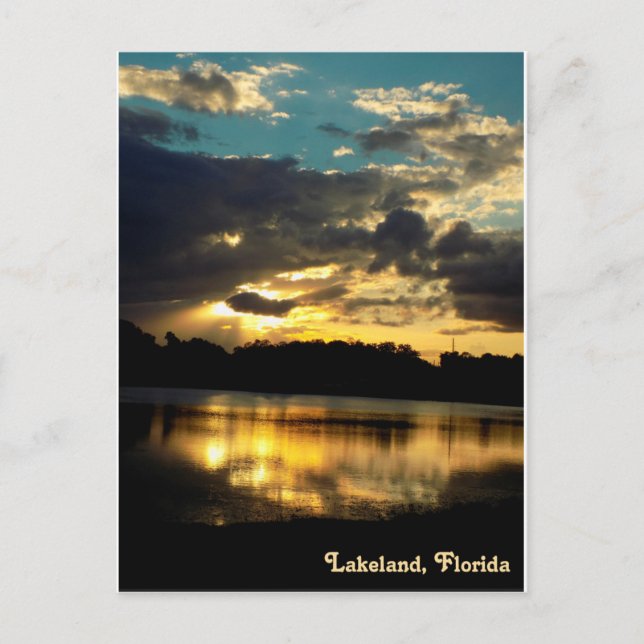 Lake Bonny Lakeland Florida 4 Postcard (Front)