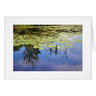 Lake Caroline