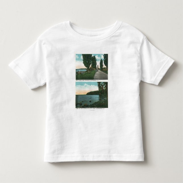 Lake Champlain Drive View Toddler T-Shirt (Front)