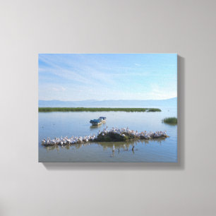 Lake Chapala Pelicans Canvas Print
