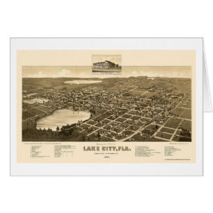 Lake City, FL Panoramic Map - 1885