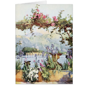 Lake Como Flowers