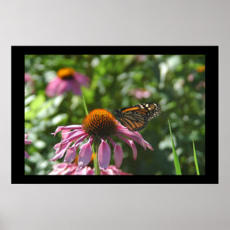 Lake Como Park Butterfly Poster