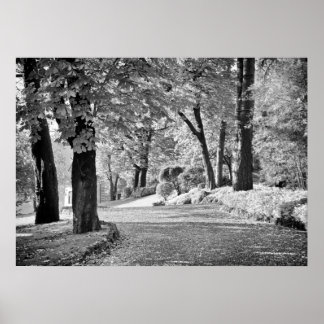 Lake Como Path Monochrome Poster