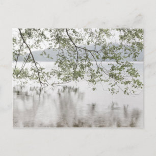 Lake Crescent   Olympic National Park, WA Postcard