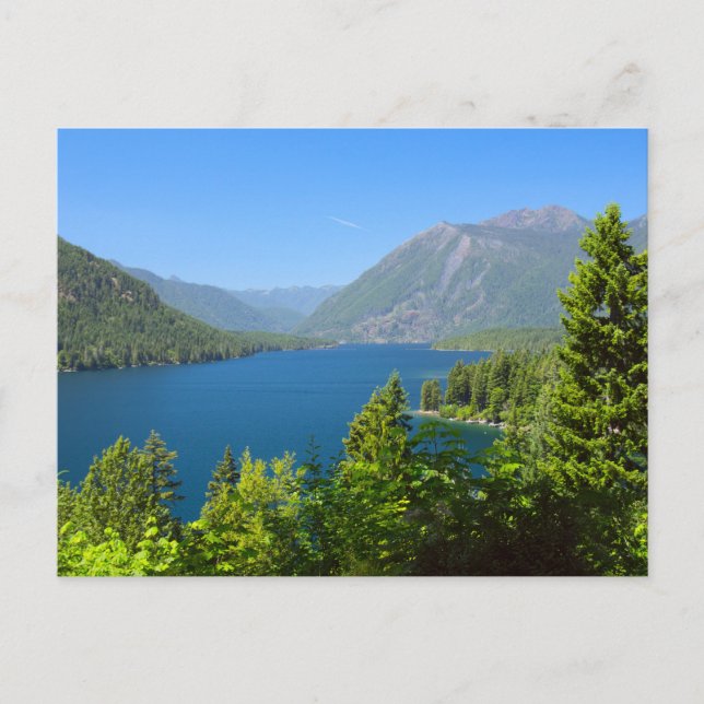 Lake Cushman in Summer Postcard (Front)
