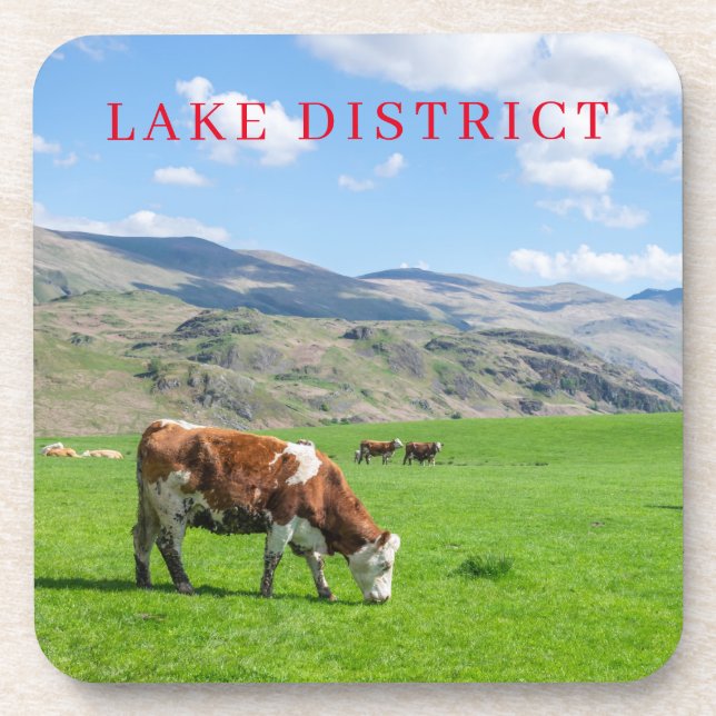Lake District cow grazing view coasters (Front)