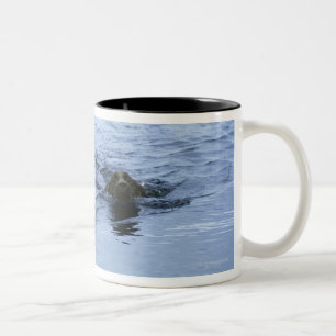 lake district cumbria england Two-Tone coffee mug