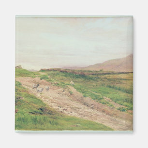 Lake District Magnet