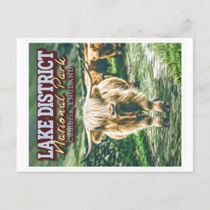 LAKE DISTRICT NATIONAL PARK - CUMBRIA ENGLAND POSTCARD