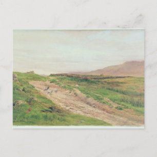 Lake District Postcard