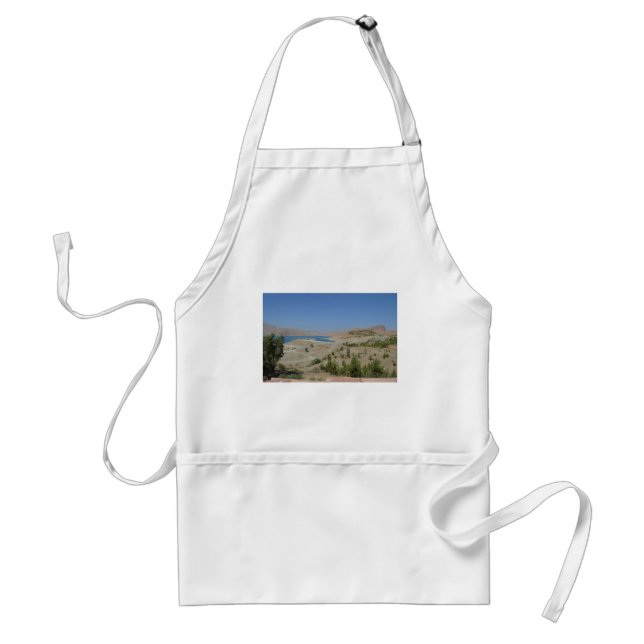 Lake Ducan3 Standard Apron (Front)