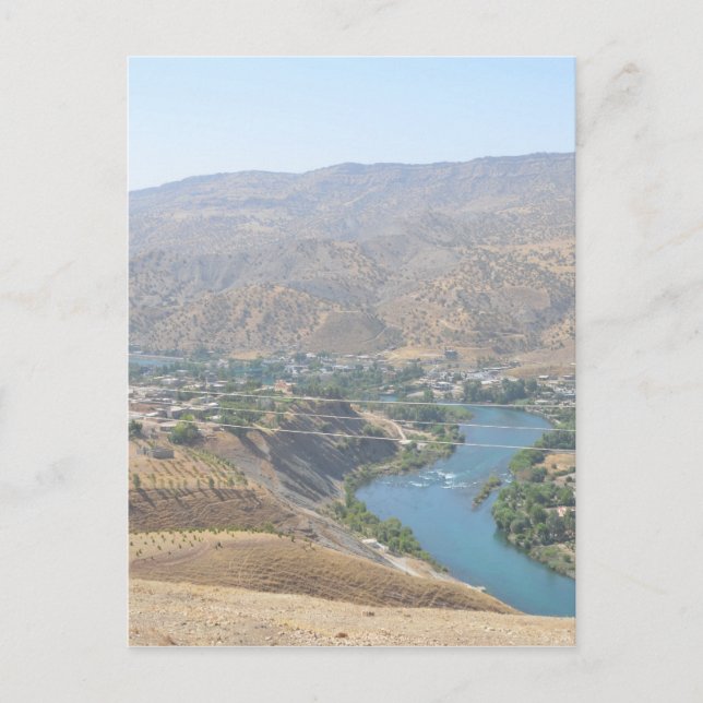 Lake Ducan4 Postcard (Front)