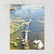 Lake Erie Metropark Turtle Log Horizontal Logo