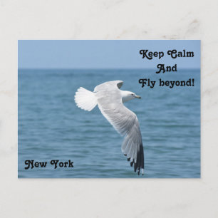 Lake Erie Postcard