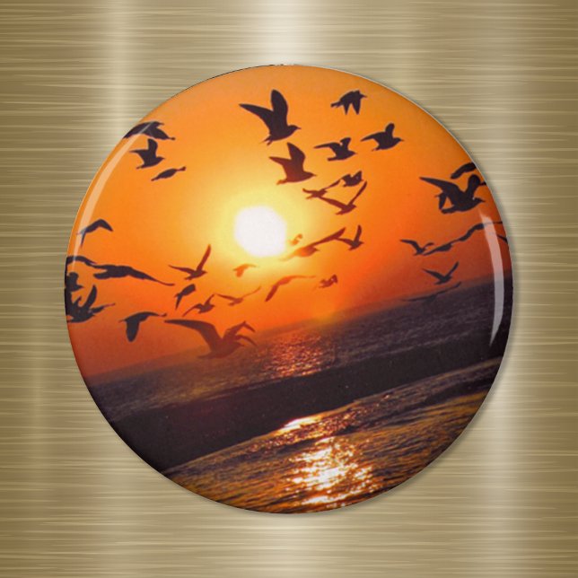Lake Erie Sunset Magnet (Creator Uploaded)