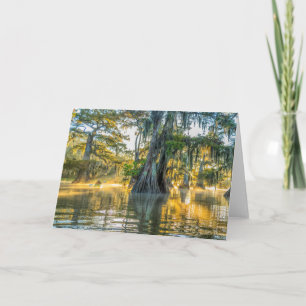 Lake Fausse Pointe State Park Card