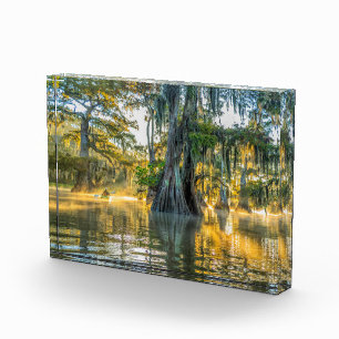 Lake Fausse Pointe State Park Photo Block