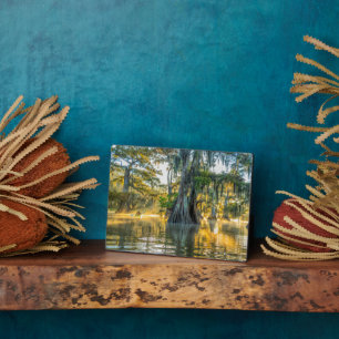 Lake Fausse Pointe State Park Plaque