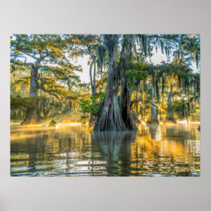 Lake Fausse Pointe State Park Poster