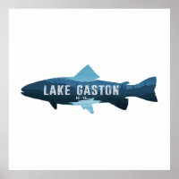 Lake Gaston North Carolina Virginia Fish
