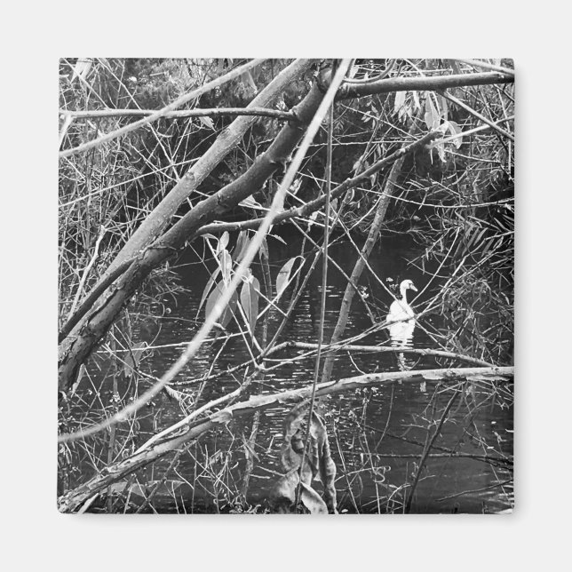 lake george magnet (Front)