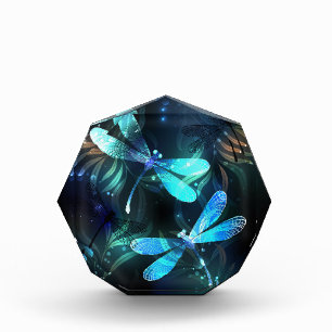 Lake Glowing Dragonflies Photo Block