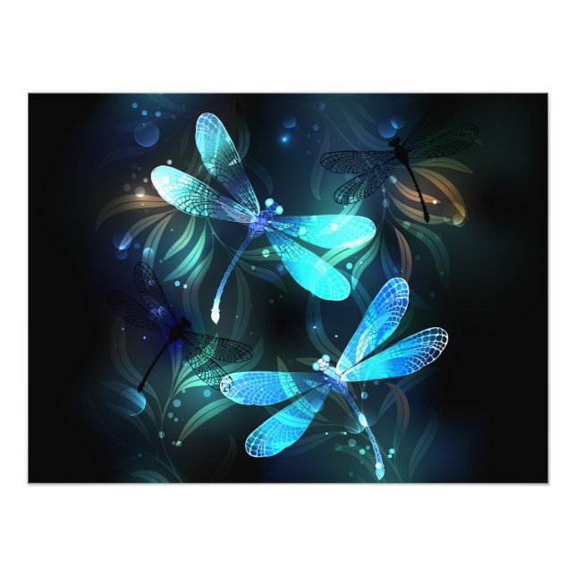 Lake Glowing Dragonflies Photo Print (Front)