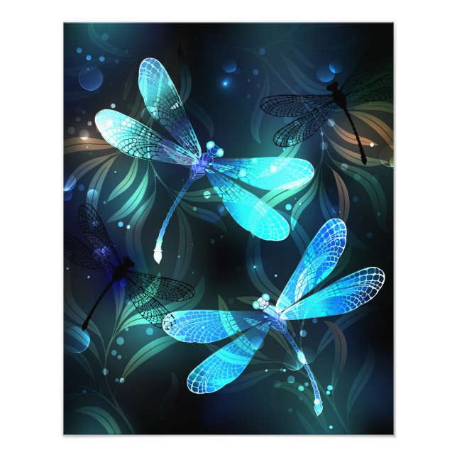 Lake Glowing Dragonflies Photo Print (Front)