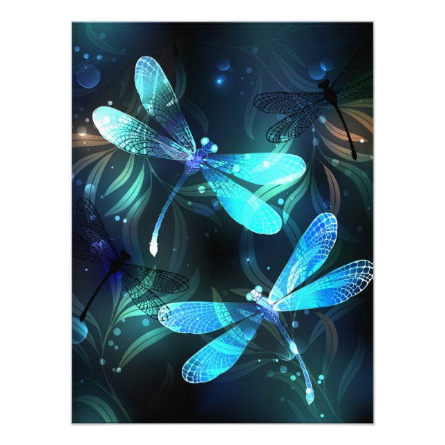 Lake Glowing Dragonflies Photo Print (Front)