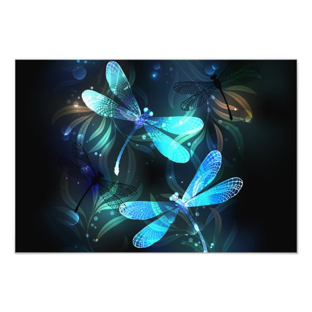 Lake Glowing Dragonflies Photo Print (Front)