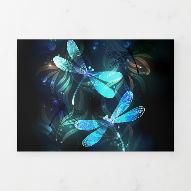 Lake Glowing Dragonflies Tri-Fold Programme (Cover)