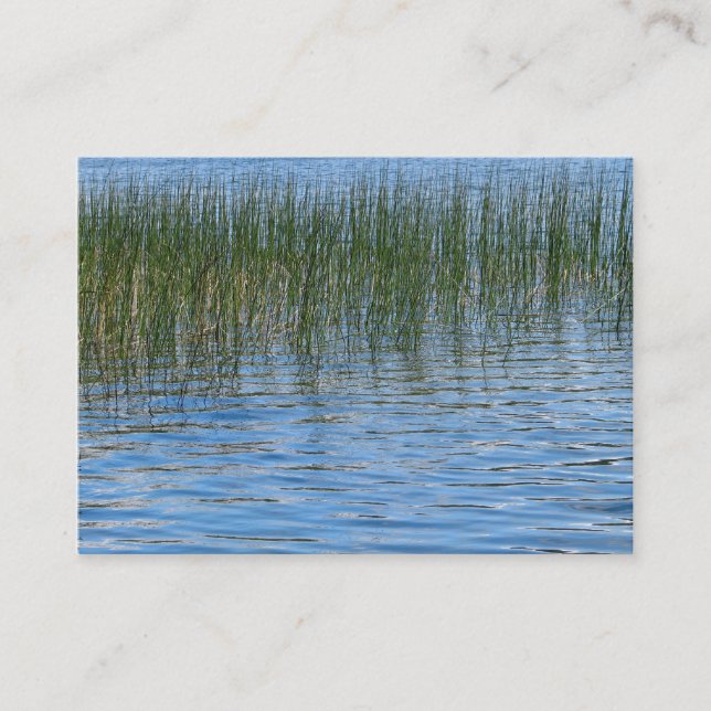 Lake Grasses Business Card (Front)