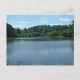 Lake Greenwood Cove Postcard