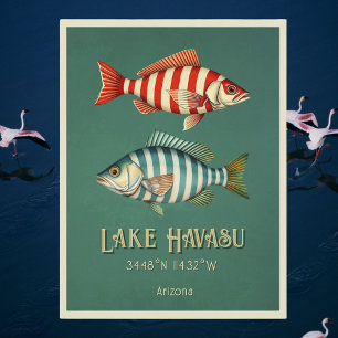 Lake Havasu Arizona fish Postcard