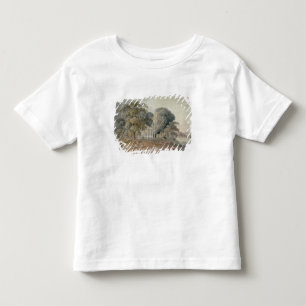 Lake House, Epping Toddler T-Shirt