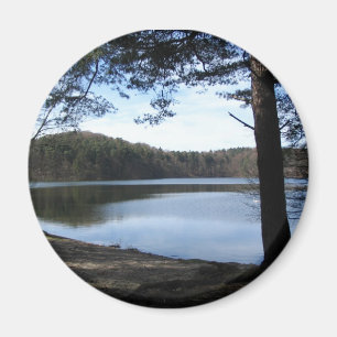 Lake in Brandenburg, Germany Magnet