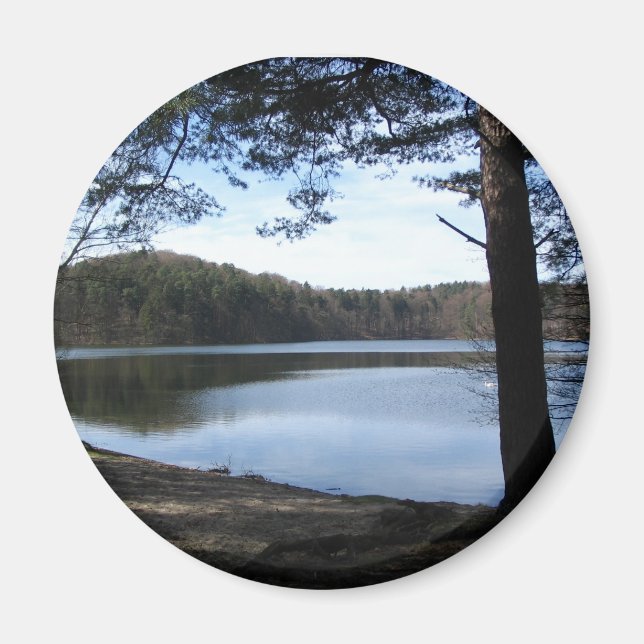 Lake in Brandenburg, Germany Magnet (Front)