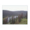 Lake In CO Mountain Tops Postcard