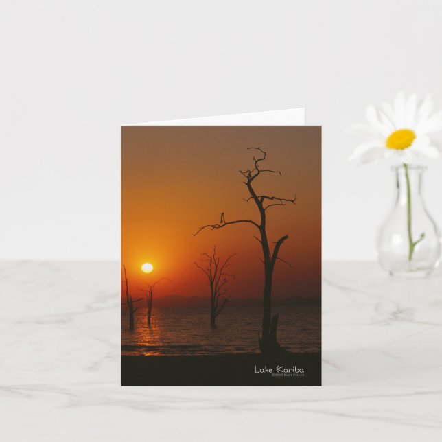 Lake Kariba at Sunset Card (Small Plant)