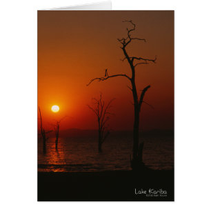 Lake Kariba Sunset_card