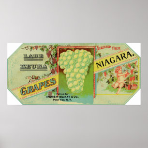 Lake Keuka Niagara Grapes Label Poster