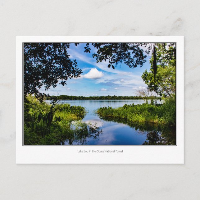 Lake Lou Postcard (Front)