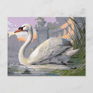 Lake Lugano Swan Postcard