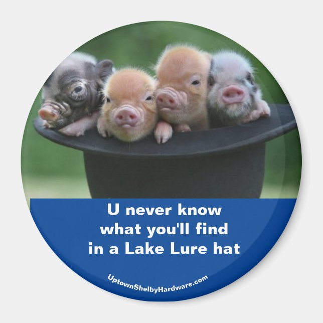 Lake Lure hat Magnet (Front)