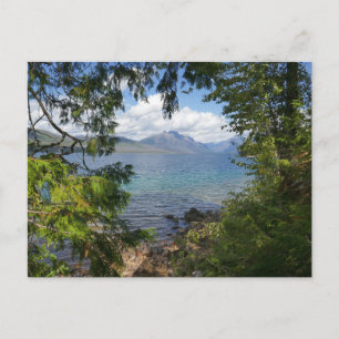 Lake McDonald Through Forest Frame Postcard