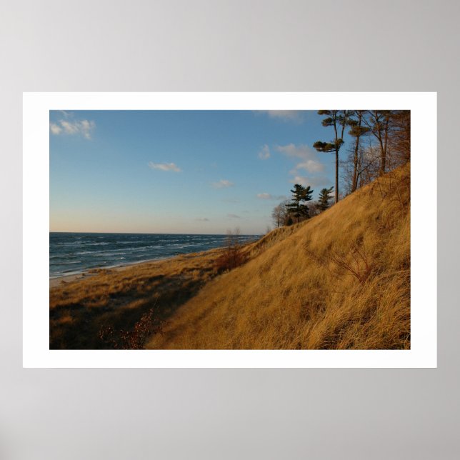 Lake Michigan Beach in Late Fall Poster (Front)