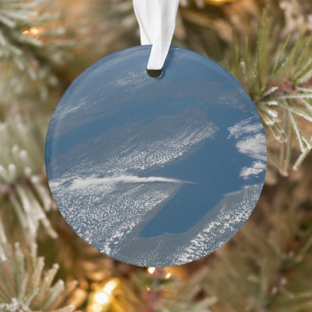 Lake Michigan, Lake Huron And State Of Michigan. Ornament (Tree)